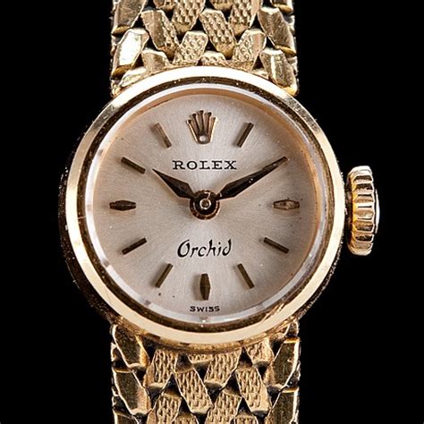 rolex orchard|rolex orchid watch price.